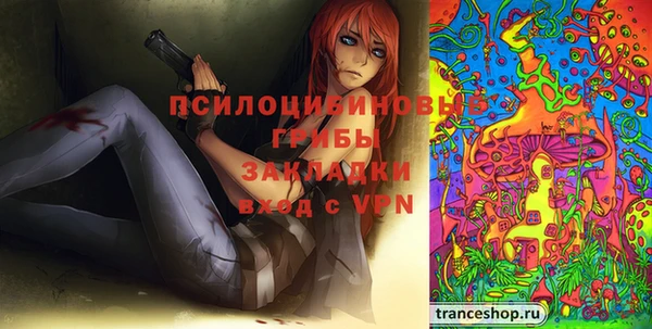 тгк Осташков